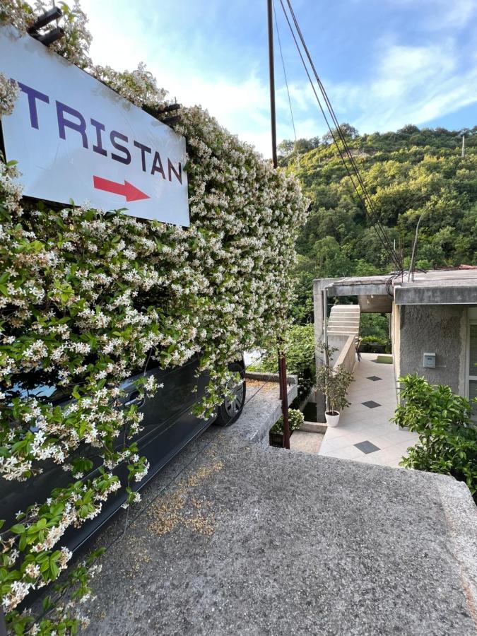 Apartman Tristan Herceg Novi Eksteriør bilde